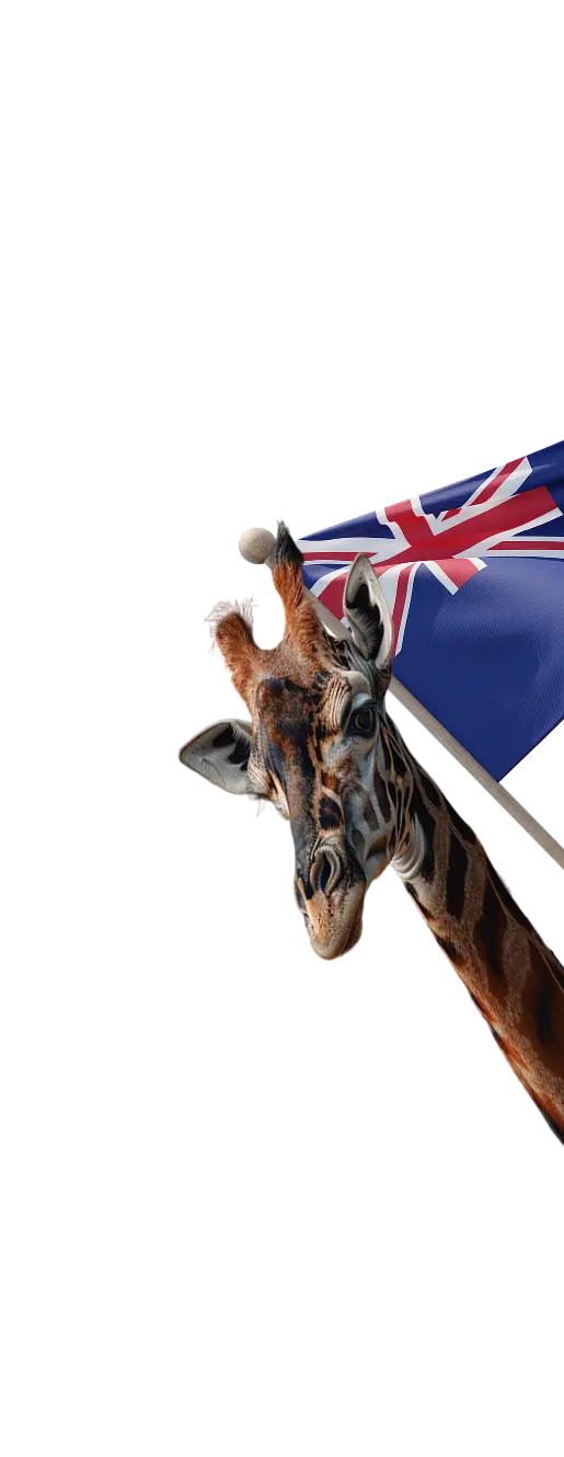  Выбери нужную визу и оставь заявку