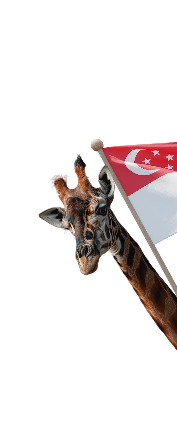 Choose the required visa