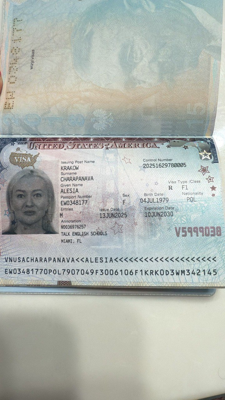 Одобренные визы клиентов