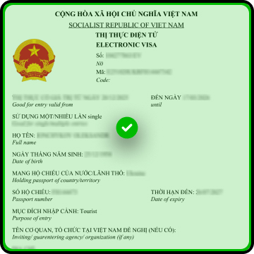 Approved client visas
